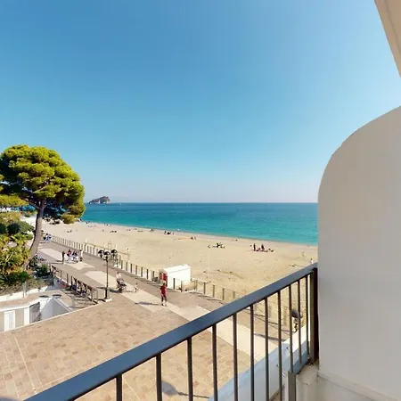Ligure 3* 스포토르노